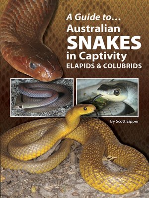 cover image of A Guide to Australian Snakes in Captivity—Colubrids and Elapids